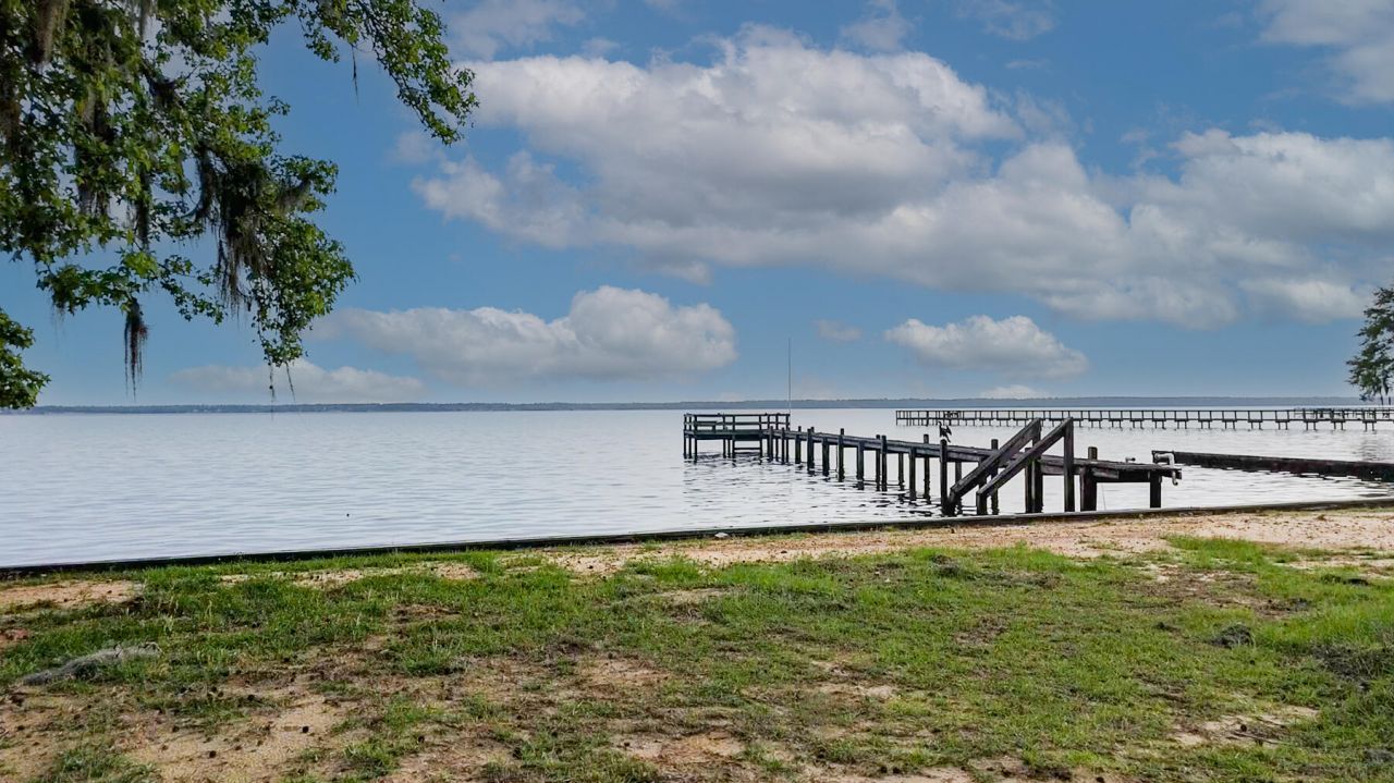 3226 Francis Marion Boulevard Photo 29