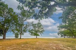 3226 Francis Marion Boulevard photo 4