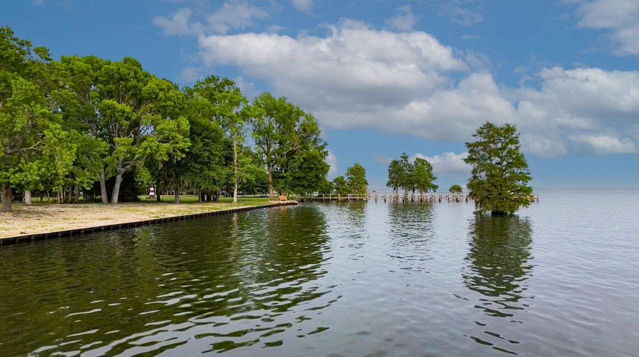 3226 Francis Marion Boulevard Photo 31