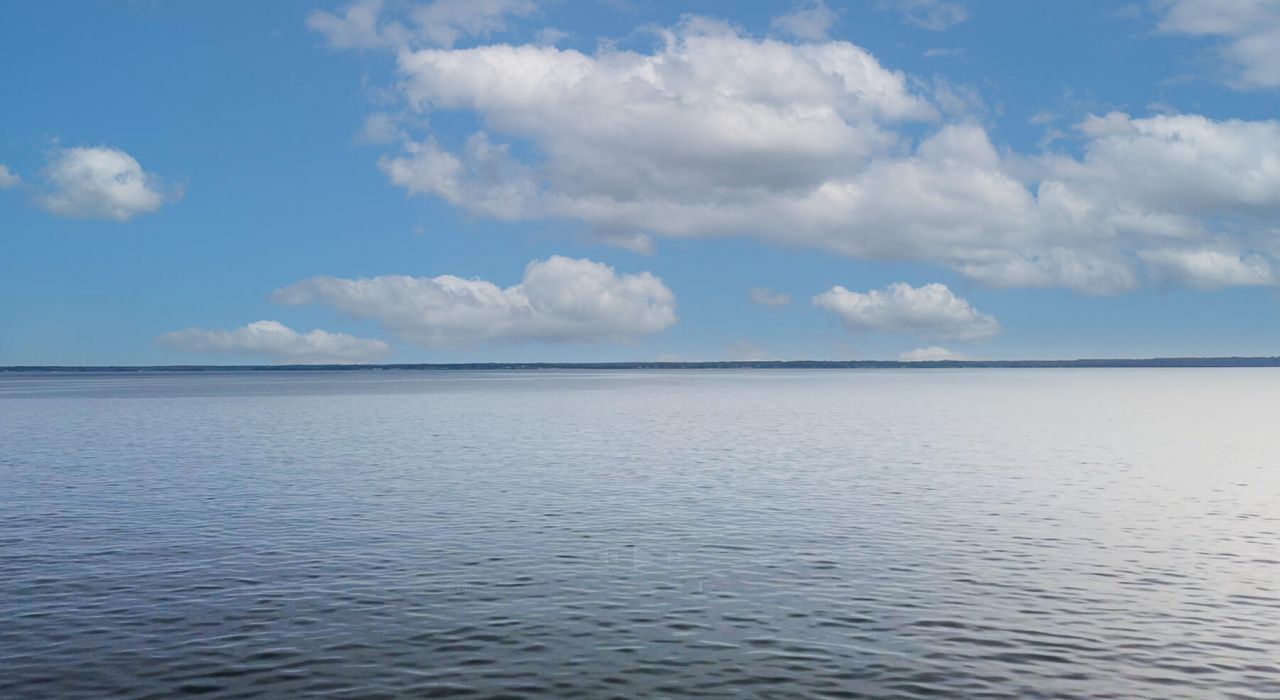 3226 Francis Marion Boulevard Photo 36