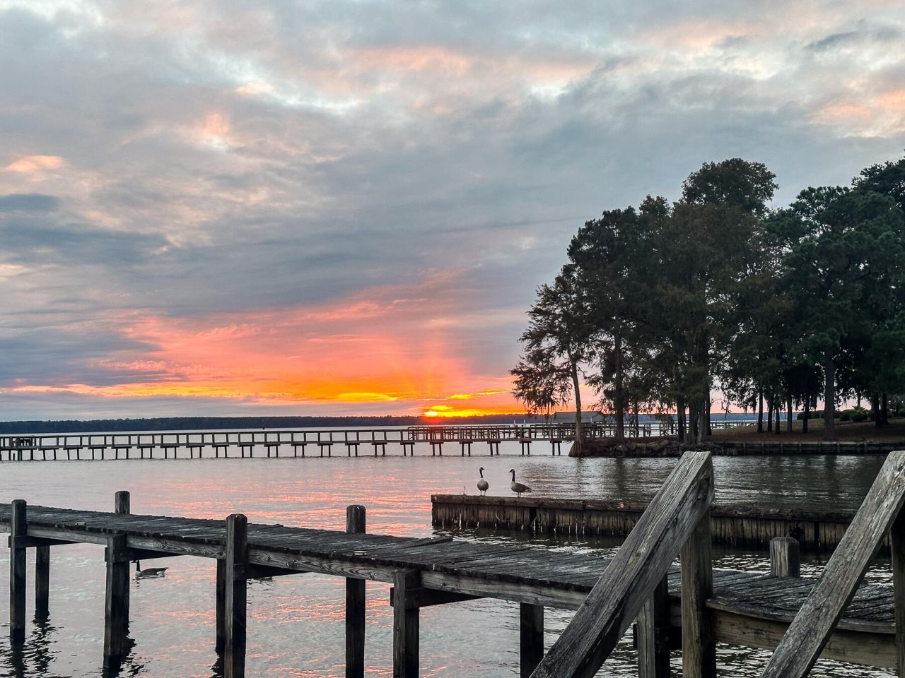 3226 Francis Marion Boulevard Photo 37