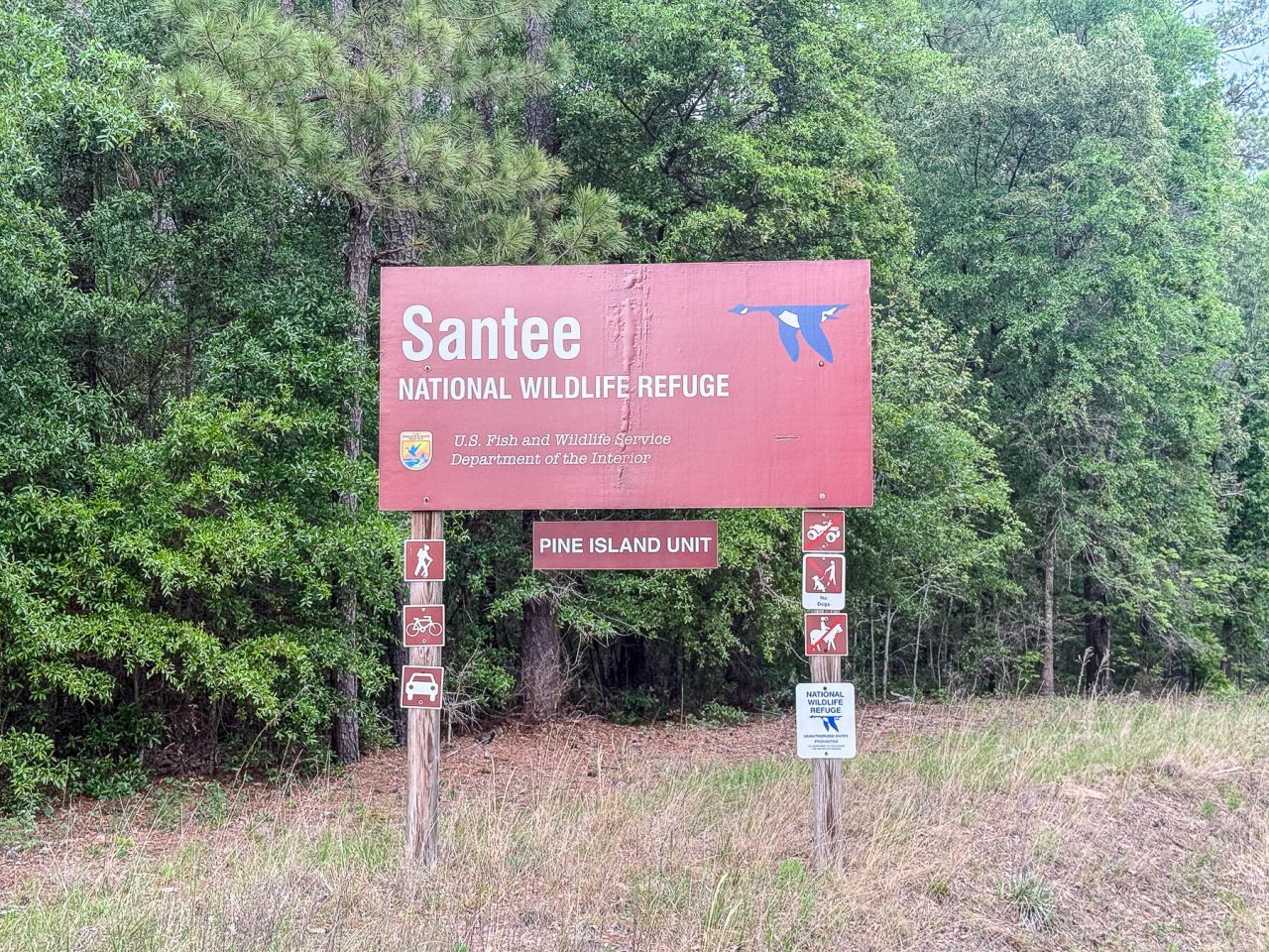 3226 Francis Marion Boulevard Photo 38