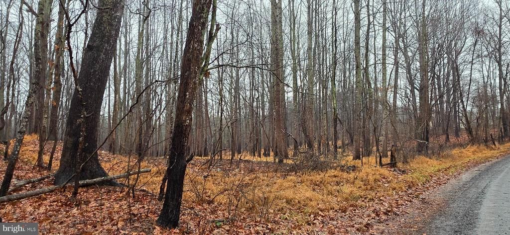 Lot B Obannons Mill Rd, Boston, VA 22713 Main Photo