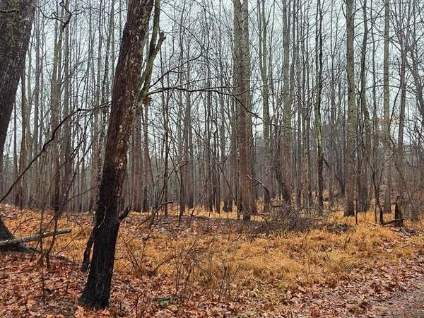 Lot B OBANNONS MILL RD, BOSTON, VA 22713