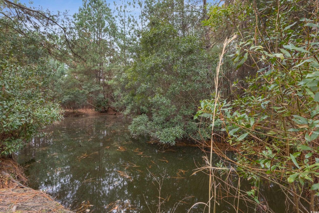 33332 County Line Rd. Photo 38