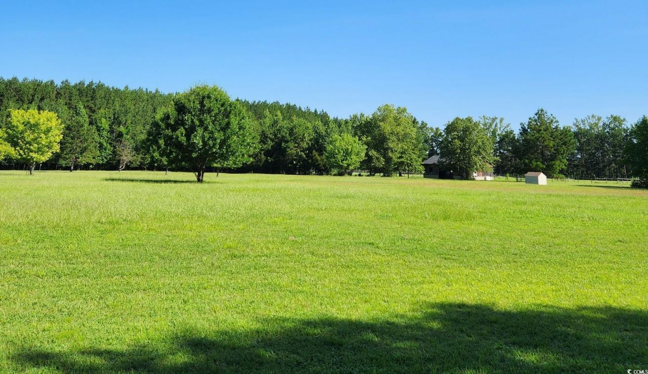 33332 County Line Rd. Photo 5