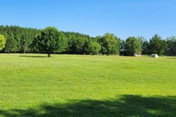 33332 County Line Rd. photo 4