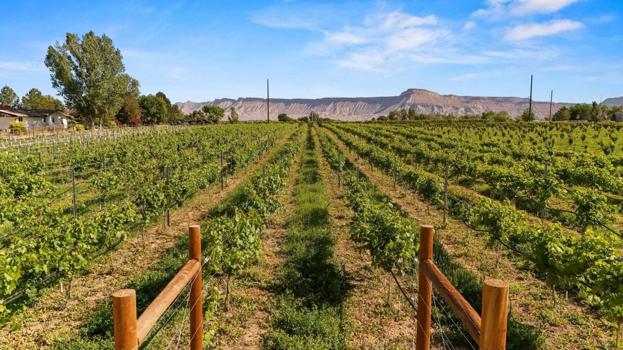 Tbd At 3339 C Road , Palisade, CO 81526 Main Photo