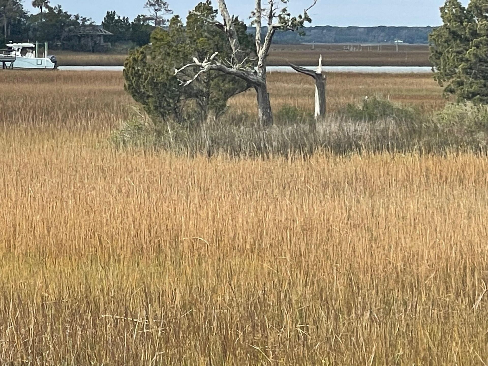 10 Waterway Island Drive Photo 42