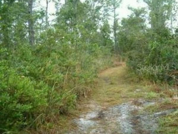 1890 DILL ROAD, ORLANDO, FL 32820