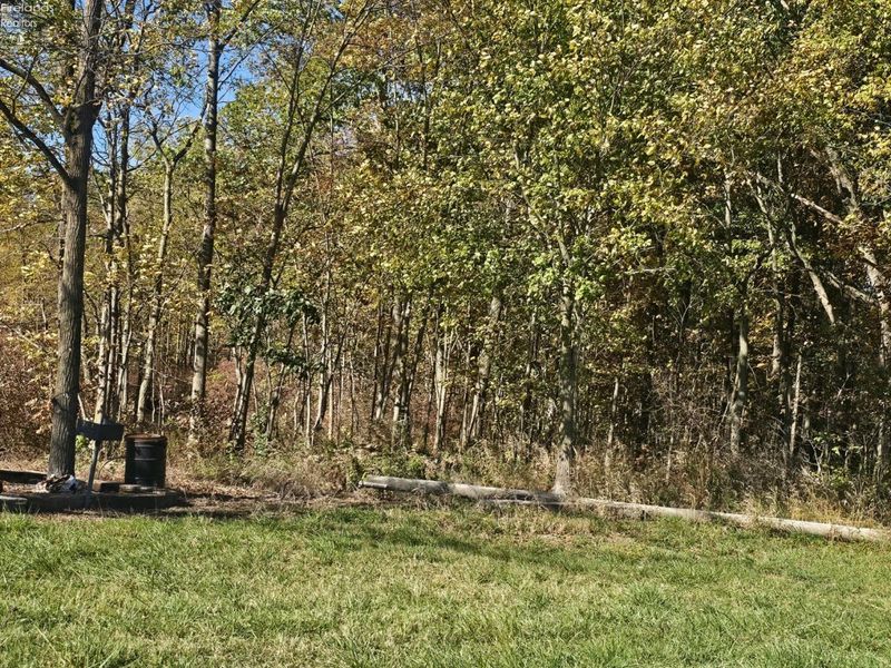 0 S Mud Creek Road, Oak Harbor, OH 43449 Photo 3