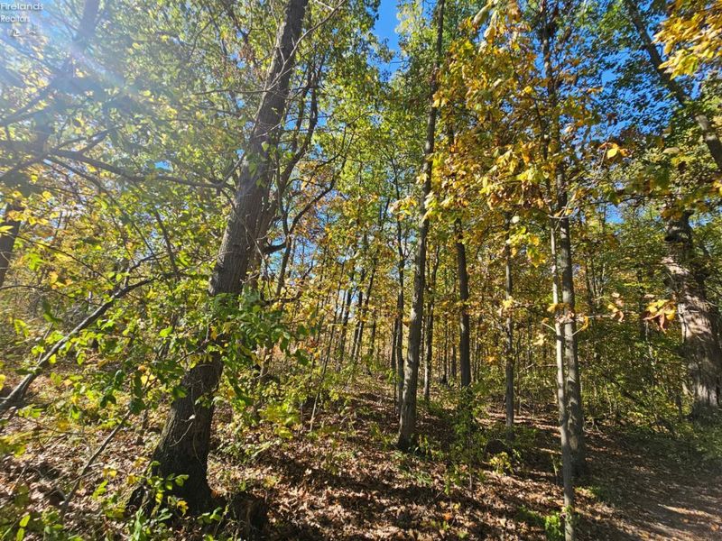 0 S Mud Creek Road, Oak Harbor, OH 43449 Photo 4