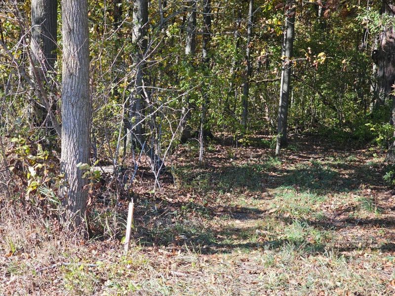 0 S Mud Creek Road, Oak Harbor, OH 43449 Photo 5