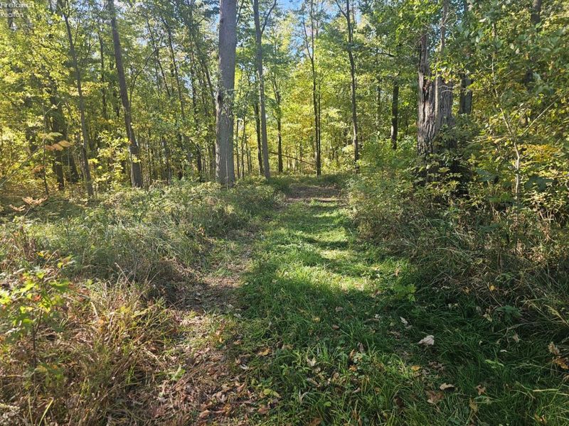 0 S Mud Creek Road, Oak Harbor, OH 43449 Photo 6