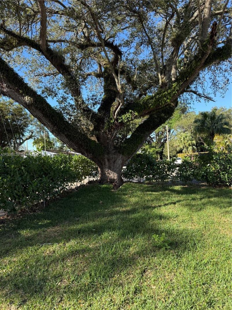 6091 SW 64th Ter, South Miami, FL 33143 Photo