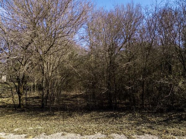 12039 Shady Creek Drive, Whitney, TX 76692