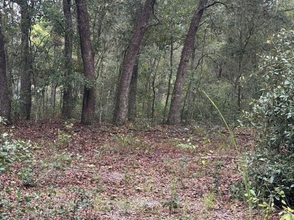 102 Pond Unassigned, Hawthorne, FL 32640