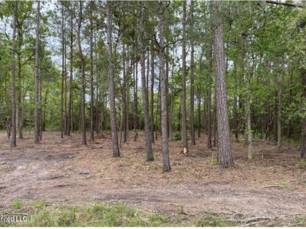 Lot 44 Basswood Drive, Pass Christian, MS 39571