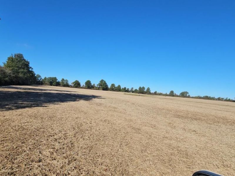 1 S Mud Creek Road, Oak Harbor, OH 43449 Photo 2