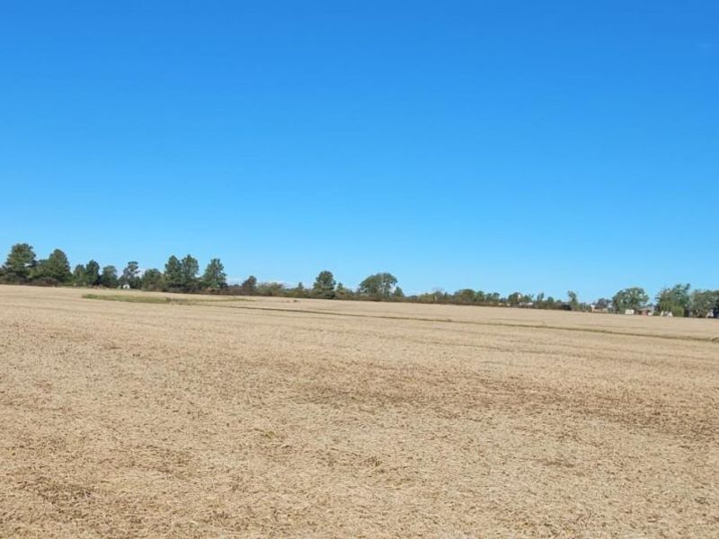 1 S Mud Creek Road, Oak Harbor, OH 43449 Photo 3