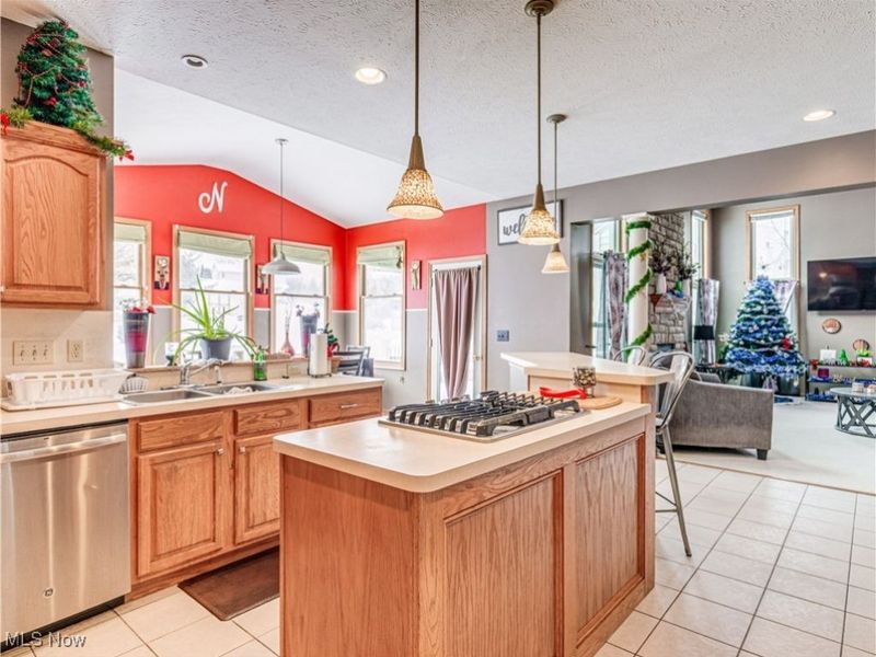 1130 Brynmar Lane, Medina, OH 44256 Photo 2