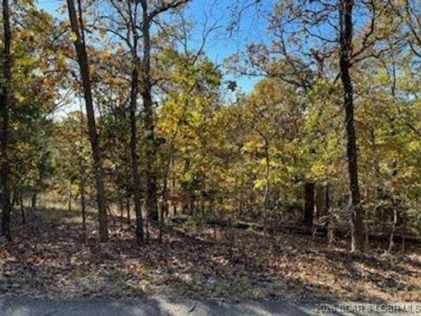 Lot 436 Pier 31 Road , Camdenton, MO 65020