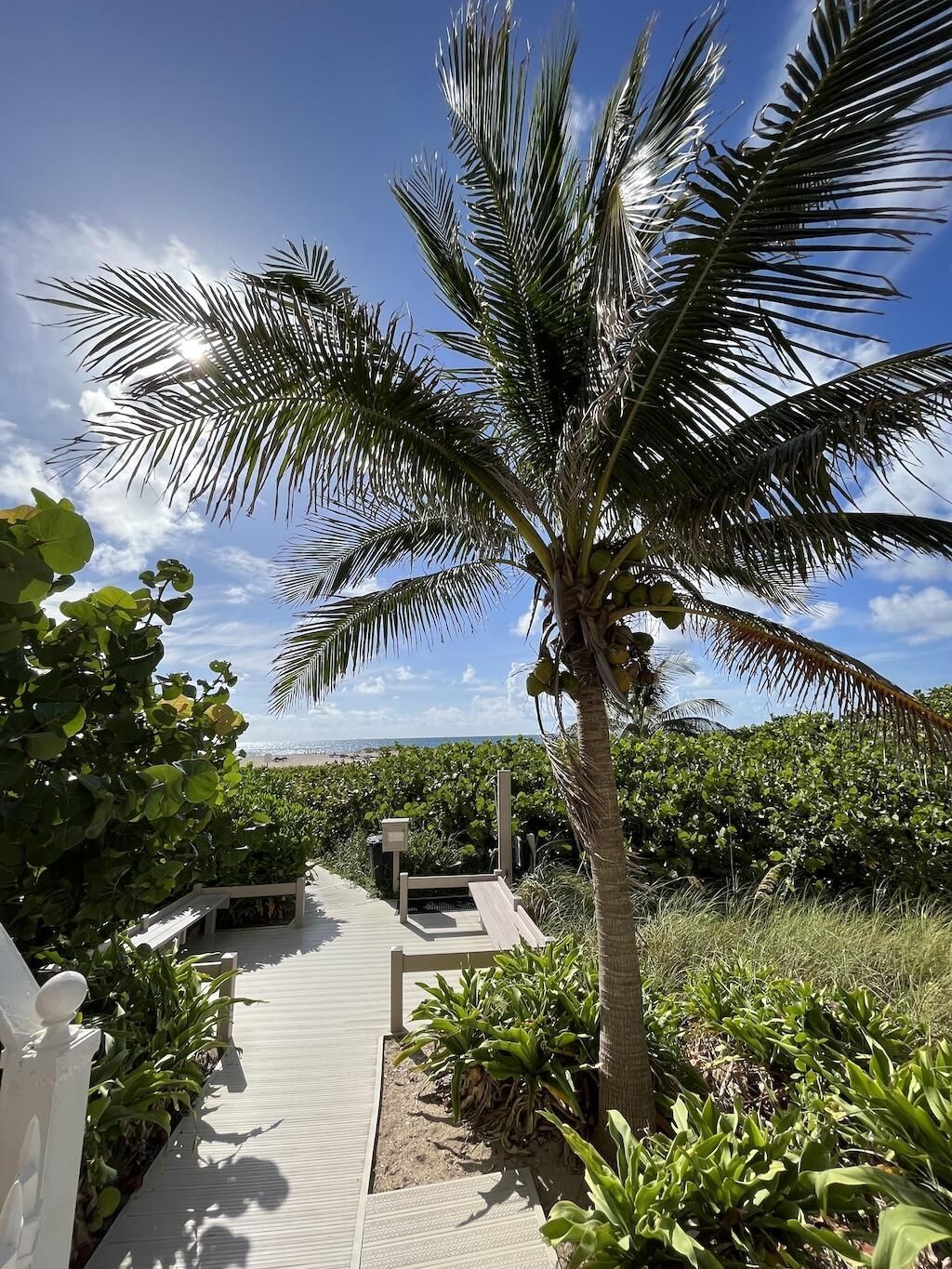 2800 N Ocean Drive, Unit B-23c, Singer Island, FL 33404 Photo