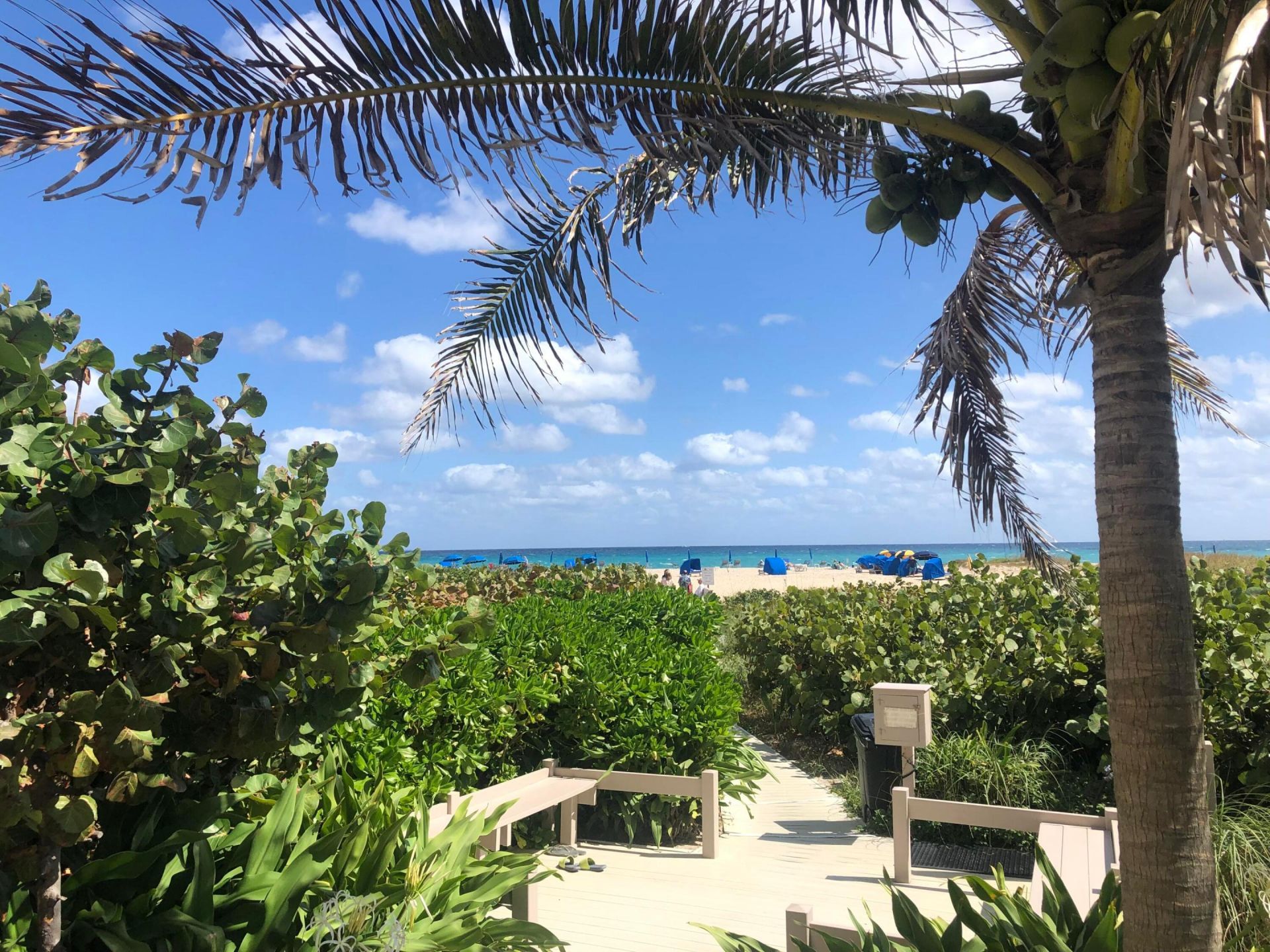 2800 N Ocean Drive, Unit B-23c, Singer Island, FL 33404 Photo