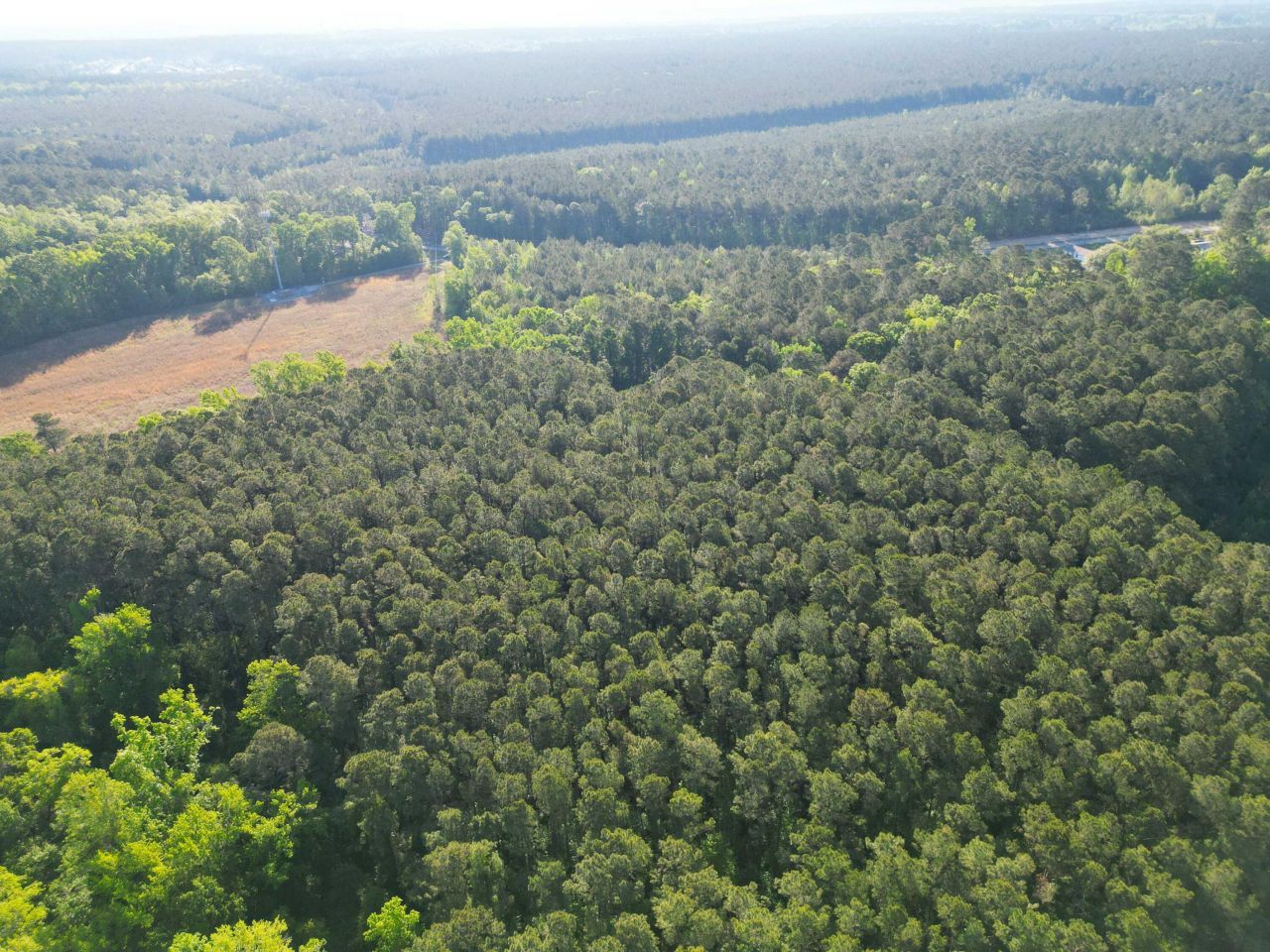 1162 Carter Road Photo 12