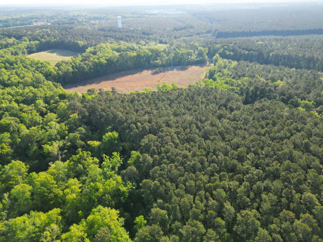 1162 Carter Road Photo 13