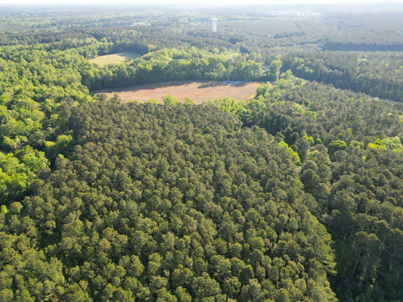 1162 Carter Road Photo 14