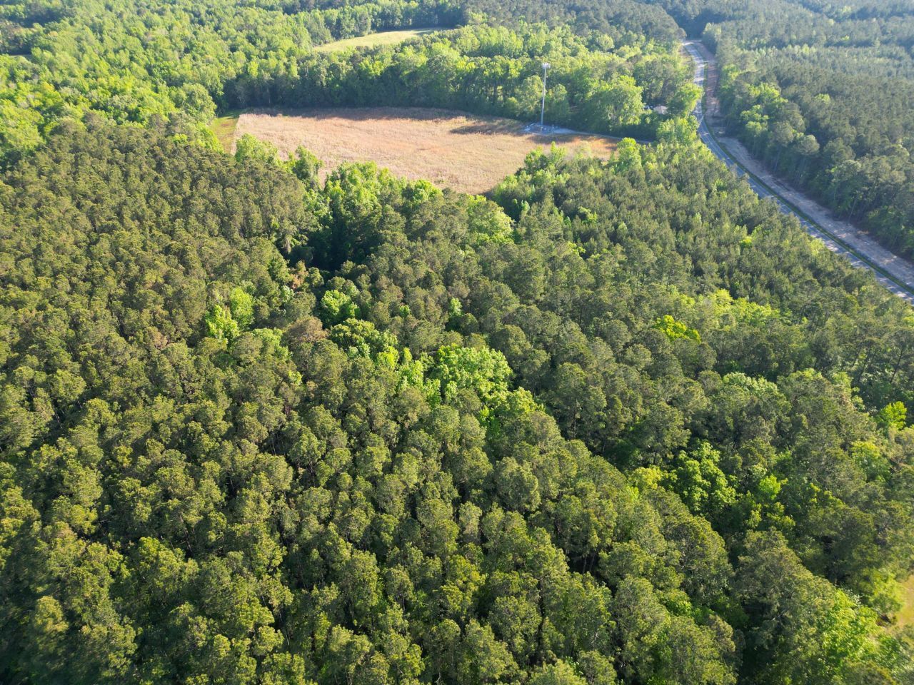 1162 Carter Road Photo 16