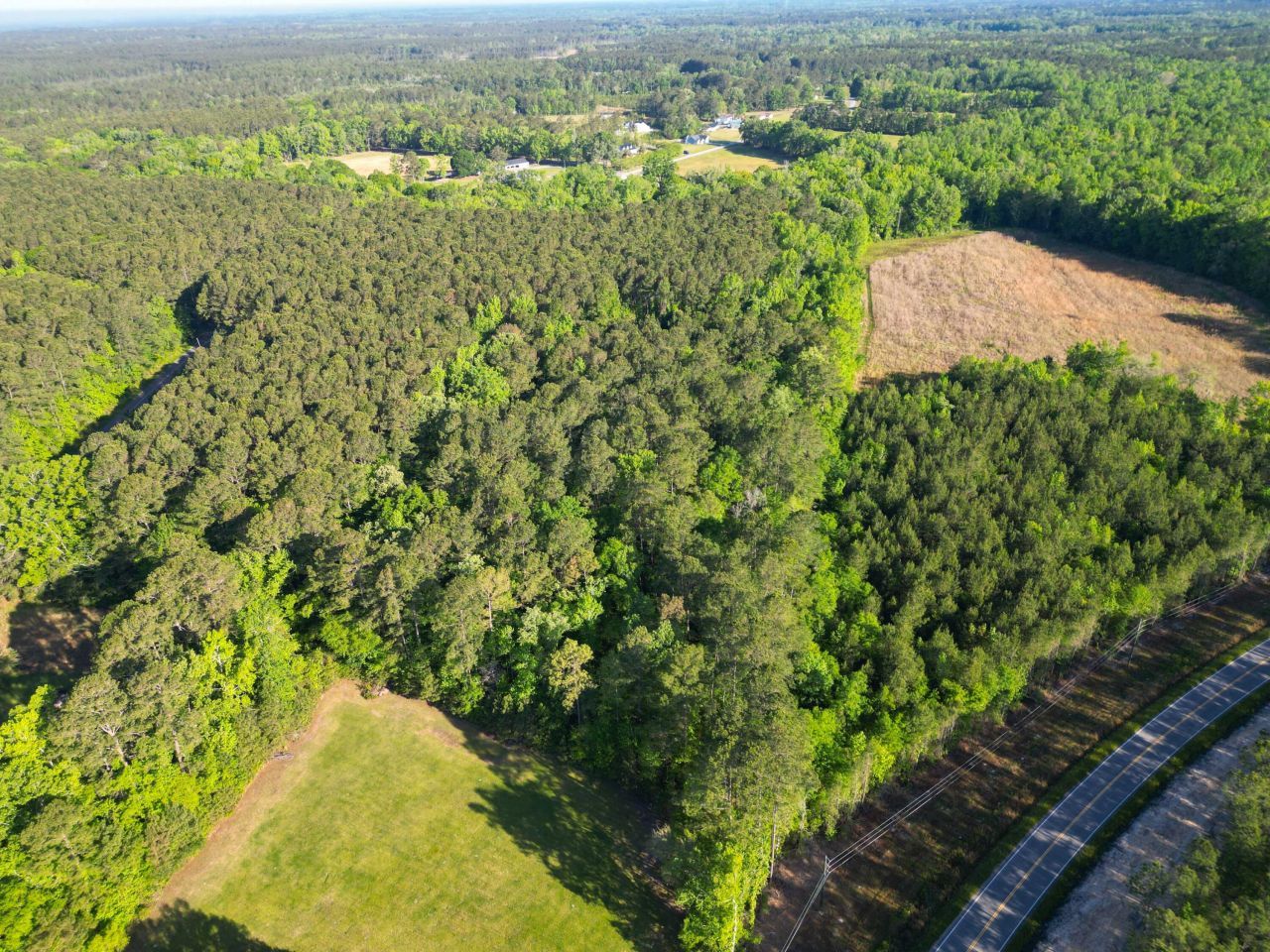 1162 Carter Road Photo 17