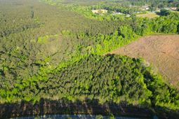 1162 Carter Road photo 4