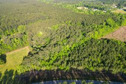 1162 Carter Road photo 4