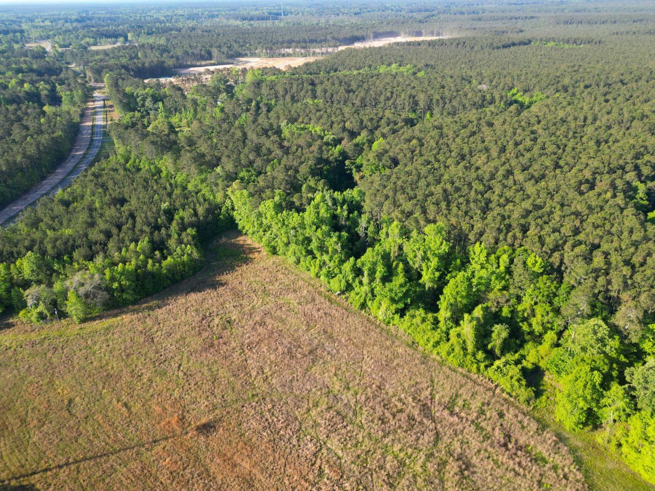 1162 Carter Road Photo 7