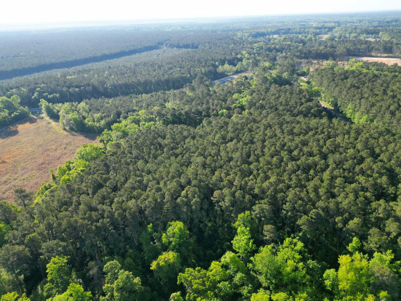 1162 Carter Road Photo 9