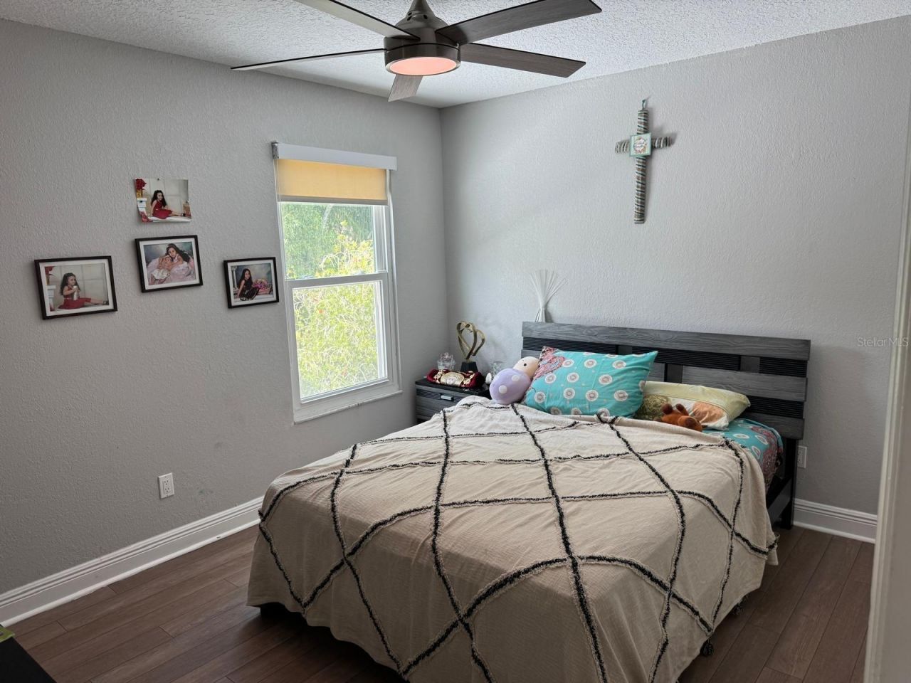 5221 Spike Horn Drive, New Port Richey, FL 34653 Photo