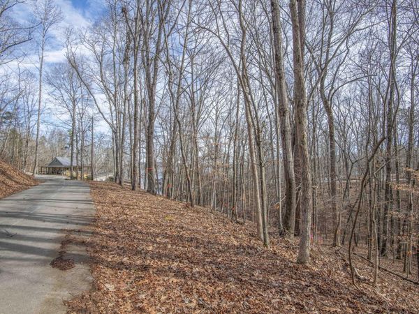 0 Sunset Court, Spring City, TN 37381