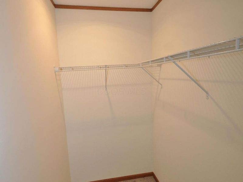 307 Harris Street, Philo, OH 43771 Photo 13