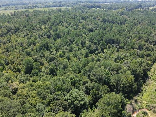 TBD County Road 2920, Hughes Springs, TX 75656