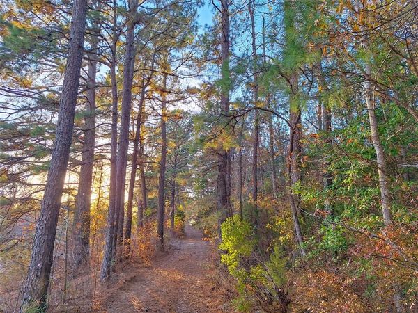 TBD County Road 2920, Hughes Springs, TX 75656