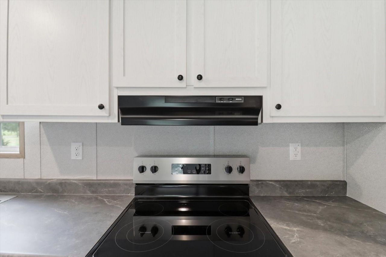 11975 NE 227th Place, Fort Mc Coy, FL 32134 Photo