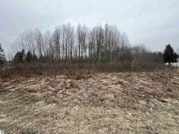 19 Crestview Drive, Cadillac, MI 49601