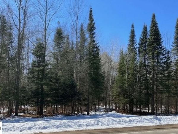 River Road, Kingsley, MI 49649