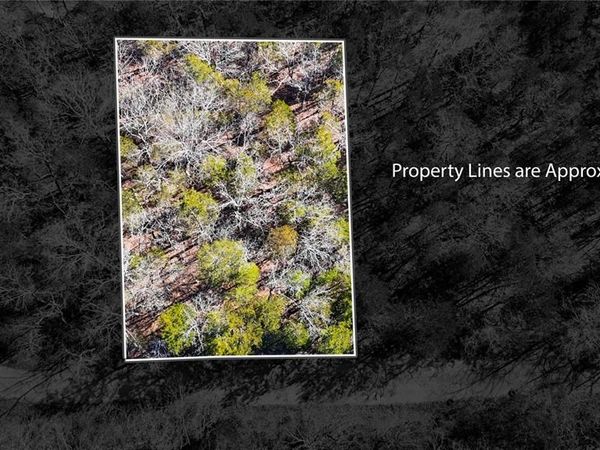 10314 Lake Hill Trail, Hillsboro, MO 63050