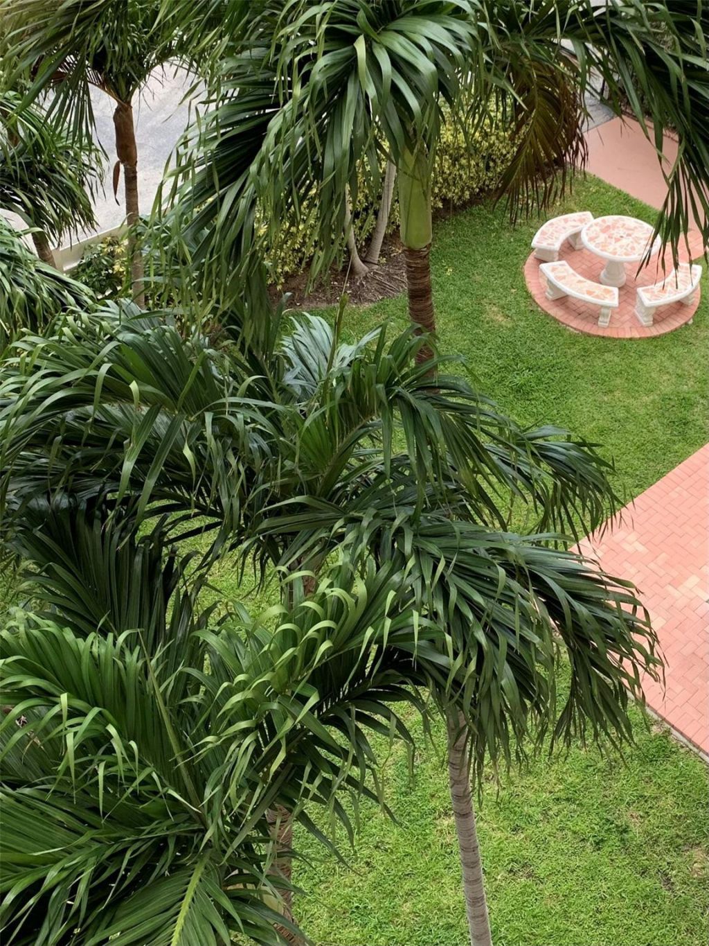 200 S Birch Road, Unit 806, Fort Lauderdale, FL 33316 Photo