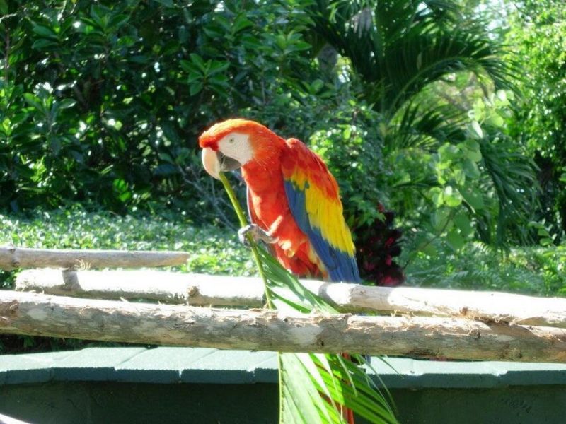 4200 N Ocean Drive, Unit 2-201, Singer Island, FL 33404 Photo