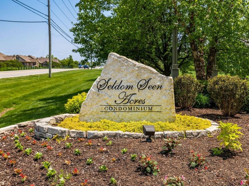 9023 Samari Place, Powell, OH 43065 Photo 3