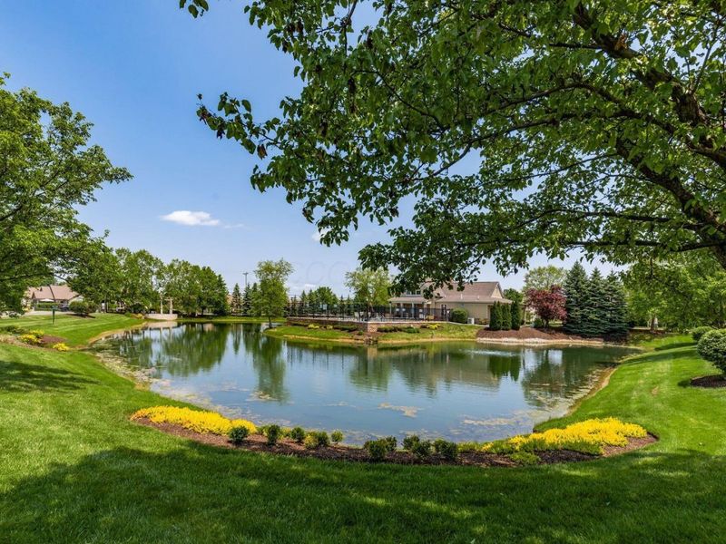 9023 Samari Place, Powell, OH 43065 Photo 4